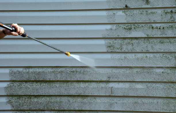 Best Exterior Home Cleaning  in Atlanta, IL